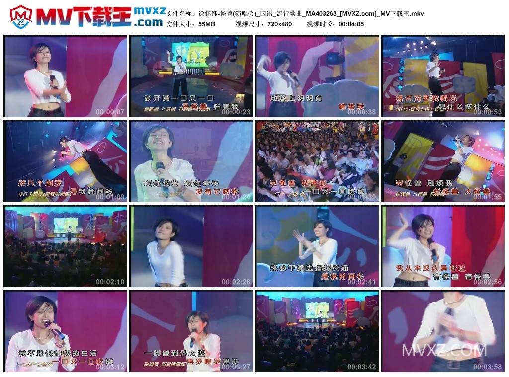 徐怀钰-怪兽(演唱会)_国语_流行歌曲_MA403263